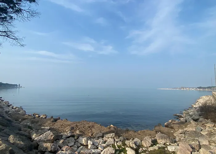 The - Luxury With Pool